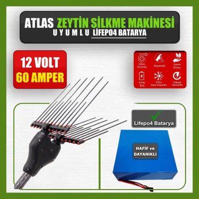 Pilli Batarya 12V 60Ah LiFePO4 Lityum Akü - Atlas Zeytin Silkme Makinesi Uyumlu (12 Volt 60 Amper), Standart BMS
