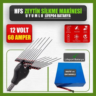 Pilli Batarya 12V 60Ah LiFePO4 Lityum Akü - HFS Zeytin Silkme Makinesi Uyumlu (12 Volt 60 Amper), Standart BMS
