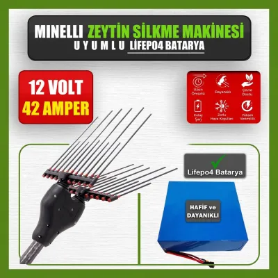 Pilli Batarya 12V 42Ah LiFePO4 Lityum Akü - Minelli Zeytin Silkme Makinesi Uyumlu (12 Volt 42 Amper), Standart BMS