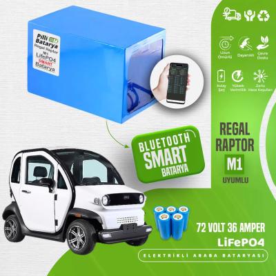 Regal Raptor M1 LiFePO4 Batarya 72 Volt 36 Ah Smart Bluetooth Özellikli