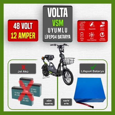 Volta VSM LiFePO4 Batarya 48 Volt 12 Ah