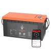 HDA Power Poseidon 24 Volt 100 Amper 5000 Döngü, SMART Bluetooth Lityum LifePO4 Akü